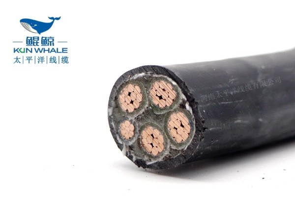 低煙無(wú)鹵電纜應用在哪些場(chǎng)所你知道嗎？