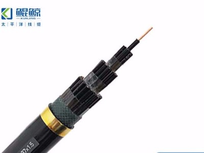 電線(xiàn)電纜廠(chǎng)家教你區分控制電纜、電力電纜及動(dòng)力電纜