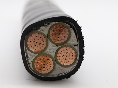 YJV22低壓電力電纜PVC絕緣和護套需要進(jìn)行哪些試驗？