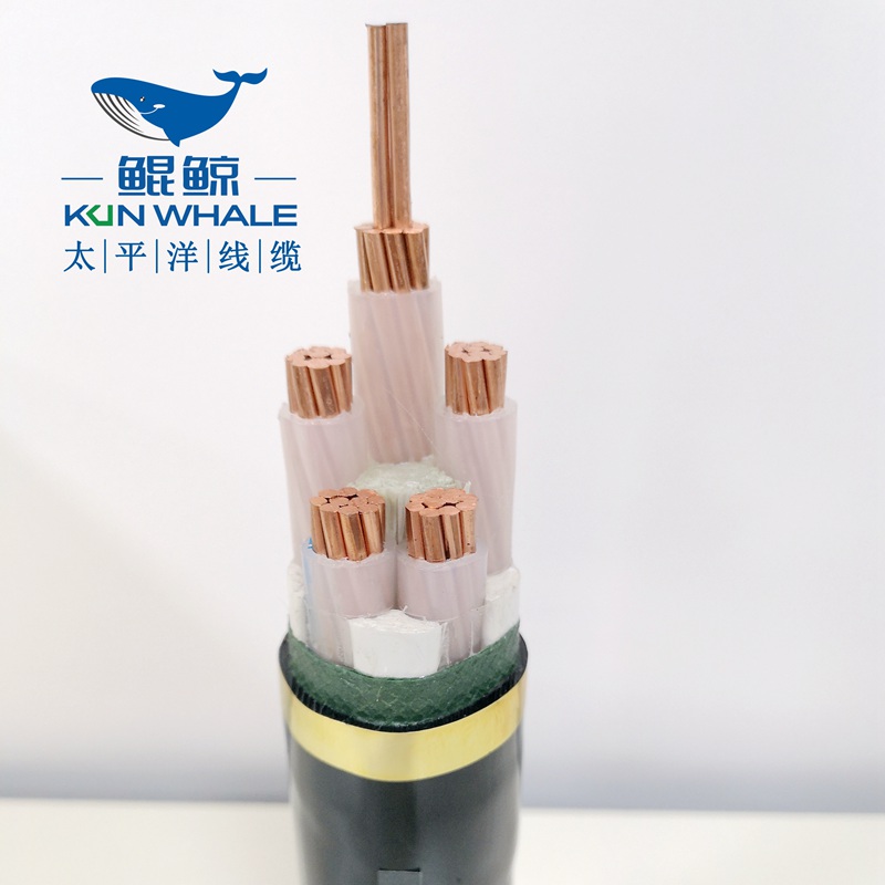 50平方低壓電力電纜，低壓電纜，電力電纜-太平洋線(xiàn)纜