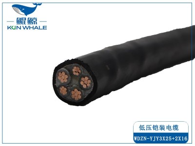 采用線(xiàn)纜標準時(shí)如何選擇電纜？需要注意什么問(wèn)題？