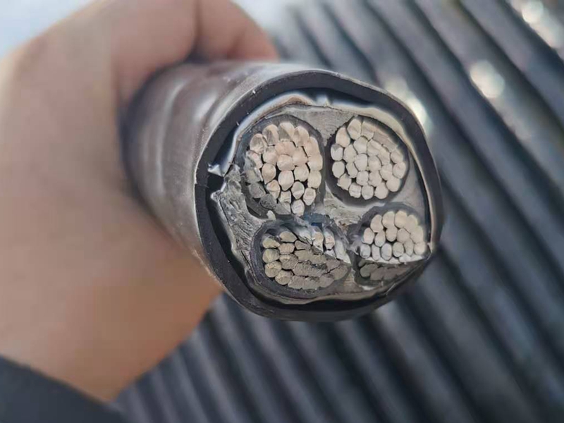 鎧裝電纜價(jià)格比普通電纜的貴憑什么？
