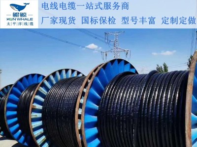 鄭州電纜廠(chǎng)淺談電纜著(zhù)火怎么辦呢？撲救辦法在這里