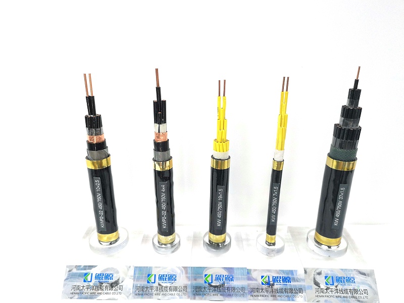 鄭州電纜廠(chǎng)淺談?dòng)嬎銠C電纜與控制電纜有什么不同？