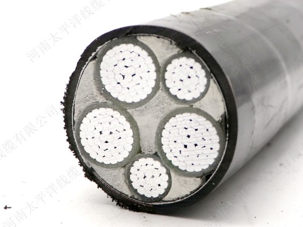 通常用的電力電纜中，鎧裝電纜價(jià)格要比普通電纜的貴一點(diǎn)，不僅如此，控制電纜和其他類(lèi)型的電纜中，鎧裝電纜價(jià)格都會(huì )比普通電纜的貴，那么憑什么呢？