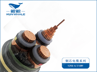 YJV22電力電纜廠(chǎng)家