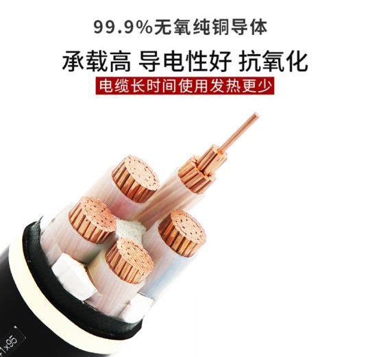 太平洋線(xiàn)纜 工程用電纜信芯重源頭