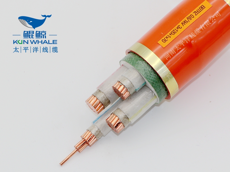 電線(xiàn)電纜廠(chǎng)家淺談什么叫BTTRZ電纜YTTW電纜型號是什么？
