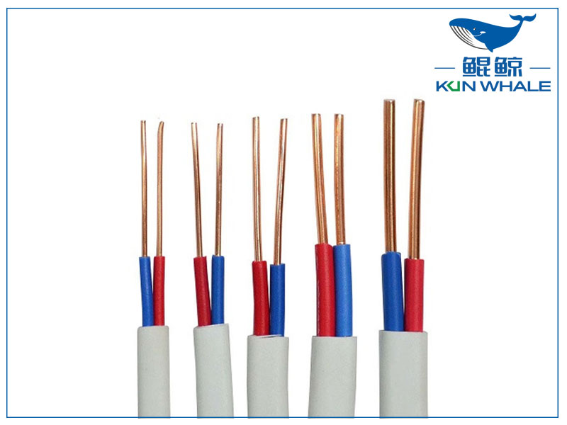 太平洋線(xiàn)纜帶你了解什么是bvvb電線(xiàn)？